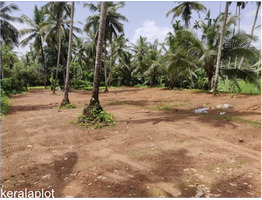 23 Cent Land For Sale Near by  Thamarassery Town
