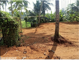 23 Cent Land For Sale Near by  Thamarassery Town