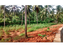 23 Cent Land For Sale Near by  Thamarassery Town