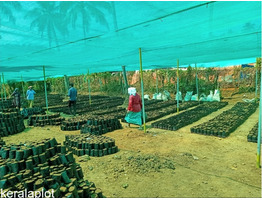 23 Cent Land For Sale Near by  Thamarassery Town