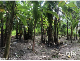 11 Cent Land For Sale Near Palluruthy kacherippady