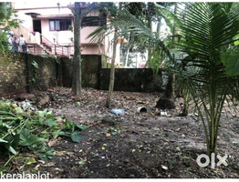 11 Cent Land For Sale Near Palluruthy kacherippady