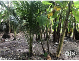 11 Cent Land For Sale Near Palluruthy kacherippady