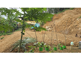 20 Cent Land For Sale at Mundukottackal Junction