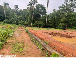 39 Cent Land For Sale at Uzhavoor Town