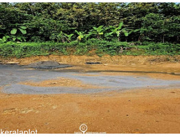 20 cent land For kanjirappally Kottaym District