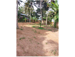 28 Cent Land For Sale at Mannanthala