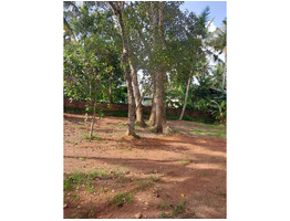 28 Cent Land For Sale at Mannanthala