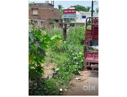 9.3 cent Land for sale at Muzhipilangad Kannur District