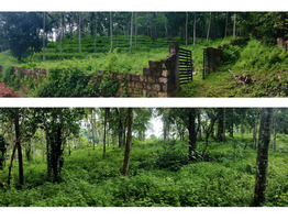 285 cent land for sale near by Pariyaram Junction