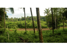 285 cent land for sale near by Pariyaram Junction