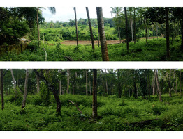 285 cent land for sale near by Pariyaram Junction
