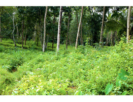 285 cent land for sale near by Pariyaram Junction
