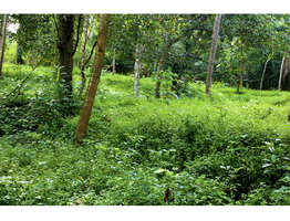 285 cent land for sale near by Pariyaram Junction