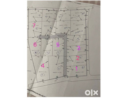 9.3 Cent Land For Sale at Muzhipilangad