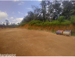 2.07 Acers Land for sale at Adoor,manakala
