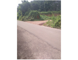 2.07 Acers Land for sale at Adoor,manakala