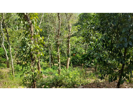 2 Acres Land For Sale at Kanjikuzhy Junction