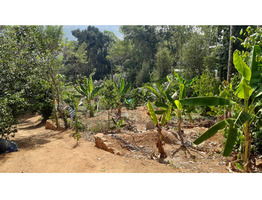 2 Acres Land For Sale at Kanjikuzhy Junction