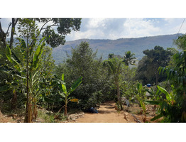 2 Acres Land For Sale at Kanjikuzhy Junction