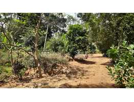 2 Acres Land For Sale at Kanjikuzhy Junction