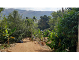 2 Acres Land For Sale at Kanjikuzhy Junction