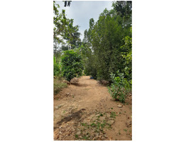 2 Acres Land For Sale at Kanjikuzhy Junction