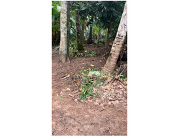 8 Cent Land For Sale Near by Vallikeezhu Junction