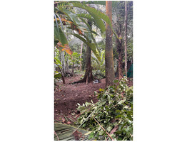 8 Cent Land For Sale Near by Vallikeezhu Junction