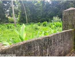 22.50 Cent Land For Sale at Palupuzha, Anagamaly