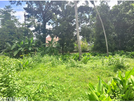 22.50 Cent Land For Sale at Palupuzha, Anagamaly