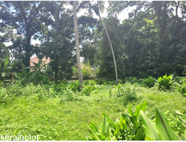 22.50 Cent Land For Sale at Palupuzha, Anagamaly