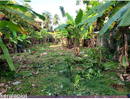10.75 cent House Plots For Sale at Thevara,Perumanoor