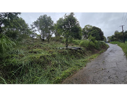 Land Suitable for Resort/ Homestay for Sale in Korome, Wayanad