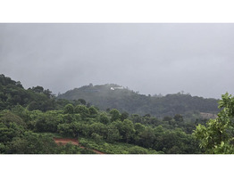 Land Suitable for Resort/ Homestay for Sale in Korome, Wayanad