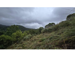 Land Suitable for Resort/ Homestay for Sale in Korome, Wayanad