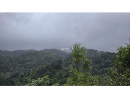 Land Suitable for Resort/ Homestay for Sale in Korome, Wayanad