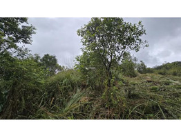 Land Suitable for Resort/ Homestay for Sale in Korome, Wayanad