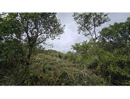 Land Suitable for Resort/ Homestay for Sale in Korome, Wayanad