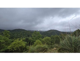 Land Suitable for Resort/ Homestay for Sale in Korome, Wayanad