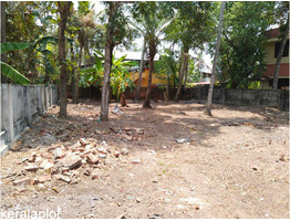 10.725 Cent Land For Sale at Kollam