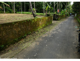 13 Cent Land For sale at kalady