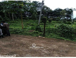 70 Cent land for sale at kodungoor