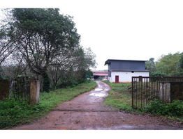 Thriving 8-Acre Dairy Farm & Agri Estate for Sale – Cheemeni, Kerala