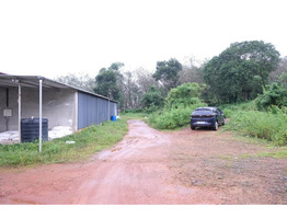 Thriving 8-Acre Dairy Farm & Agri Estate for Sale – Cheemeni, Kerala