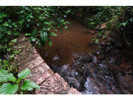 Thriving 8-Acre Dairy Farm & Agri Estate for Sale – Cheemeni, Kerala