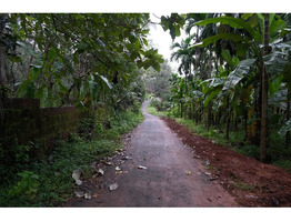 Thriving 8-Acre Dairy Farm & Agri Estate for Sale – Cheemeni, Kerala