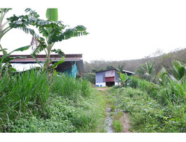 Thriving 8-Acre Dairy Farm & Agri Estate for Sale – Cheemeni, Kerala