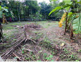 16 Cent Land For Sale Near by Prayikara Bus Stop