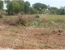 Residential land for sale Near Sreekrishna Temple, Vadavathoor